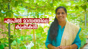 What to Plant in April ? ഏപ്രിൽ മാസത്തിൽ ചെയ്യേണ്ട കൃഷികൾ | April Krishi Calendar Malayalam
