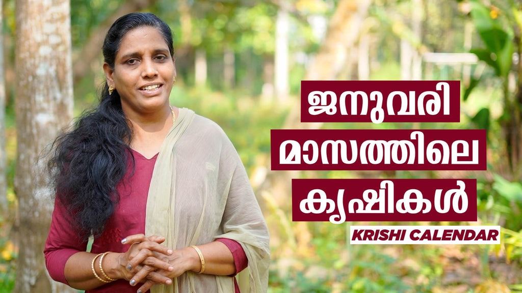 ജനുവരി മാസത്തിലെ കൃഷികൾ | What to plant in January | Krish Calendar | Minis Lifestyle