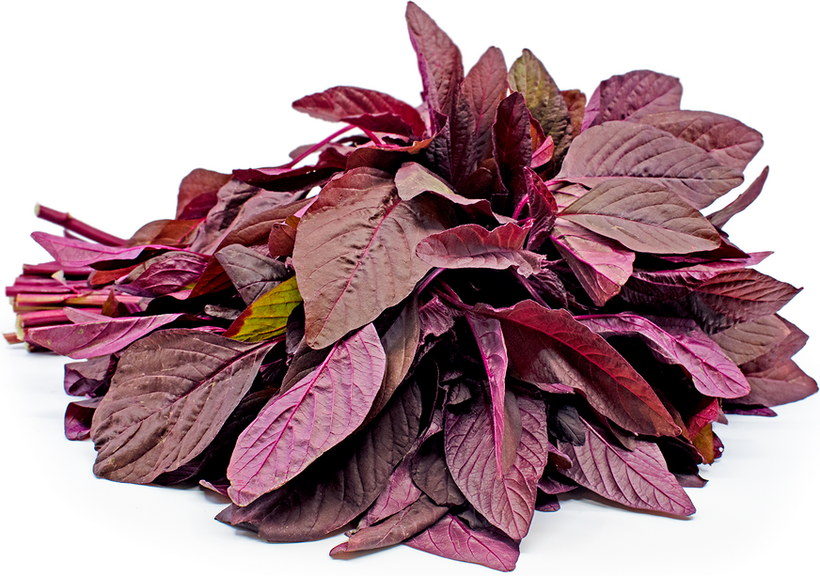 Cheera Varieties