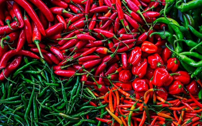 Chilli Varieties
