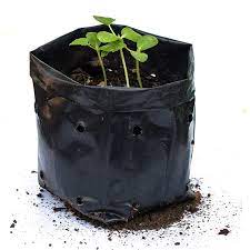 Grow Bags &amp; Pouches varieties