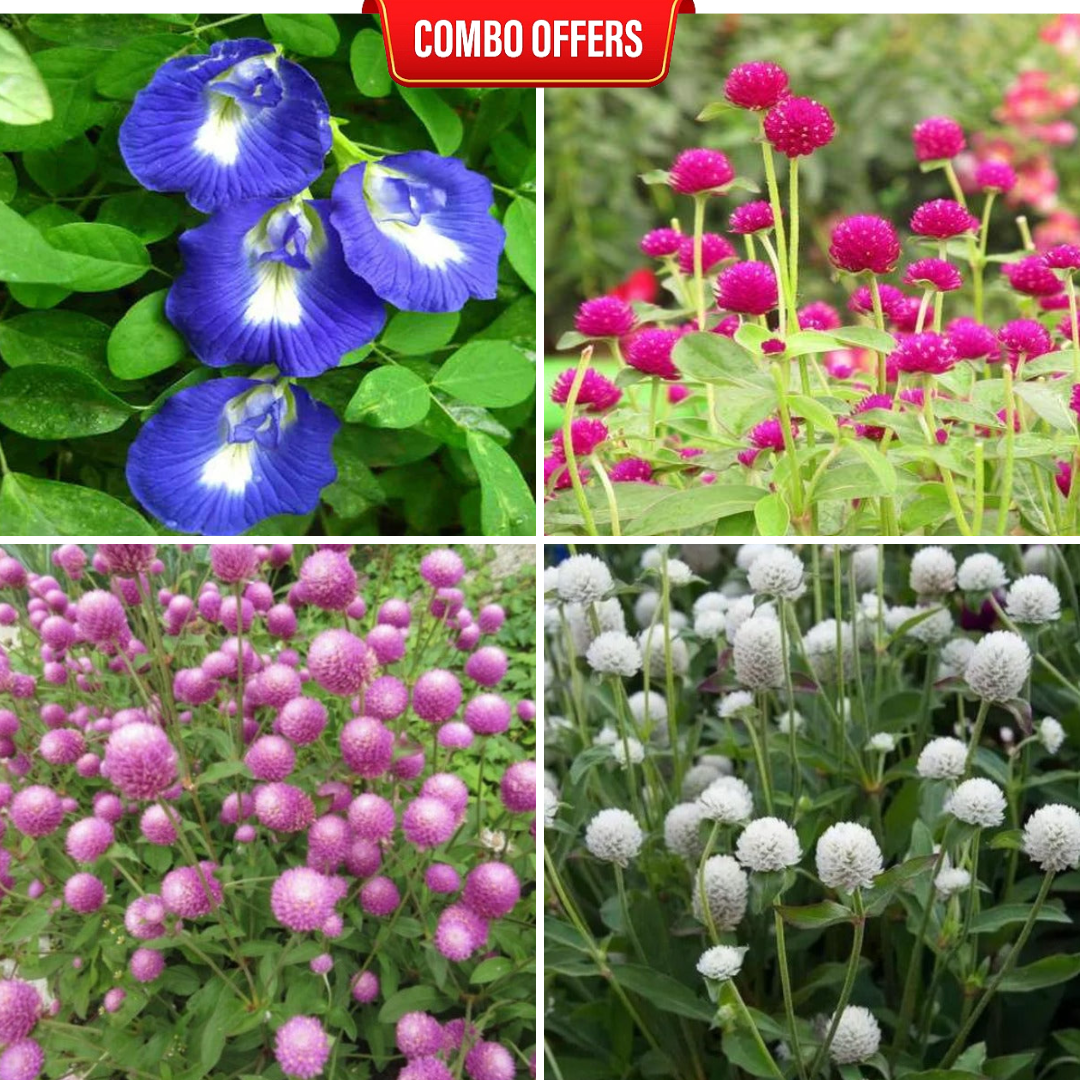 combo flower seeds 4 in 1 Flowers Seeds Combo CB19 – Mini's Lifestyle Store