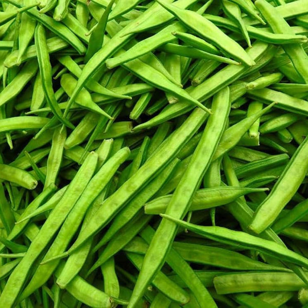 Payar R Kutti Payar Seeds| Minis Lifestyle Hub – Mini's Lifestyle Store