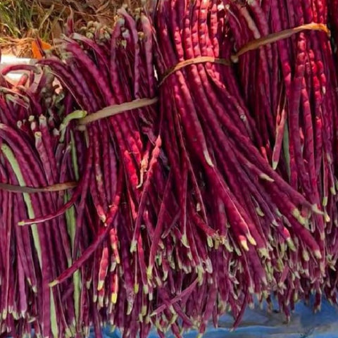 Nadan Kutti Payar Seeds