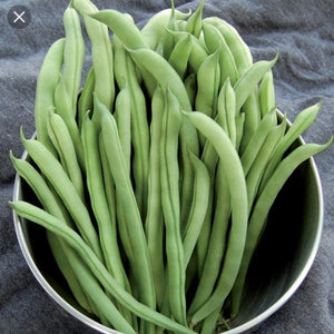 Hybrid Pandal Beans Seeds ( White )