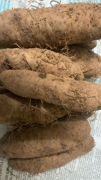 Cheru kizhang Vithu 800g