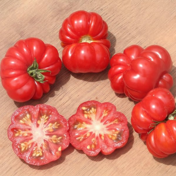 Trefle Tomato Seeds