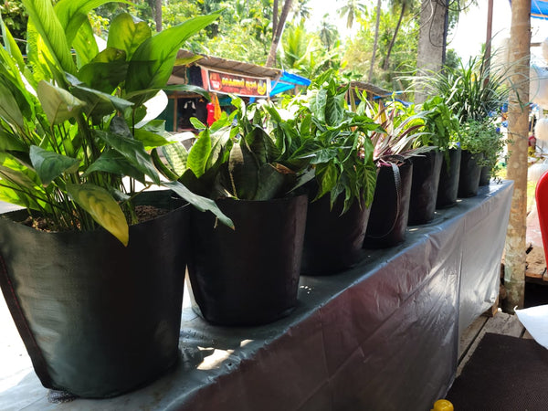 Pot Shaped Plant Pouches ( Pack of 6 ) : Crater Supple bags 220 GSM