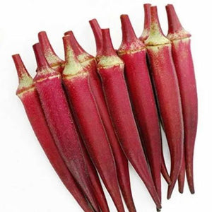 Red Hybrid Ruby Venda Seeds | Red Ladies Finger Seeds | Red Okra Ruby
