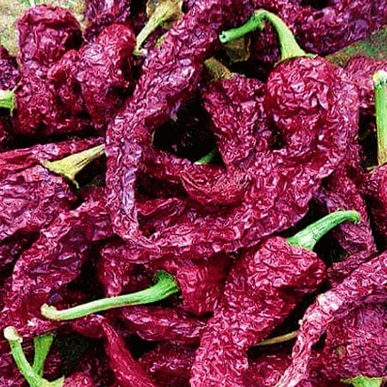 Bydagi Mulaku | Kashmiri Chilli Seeds