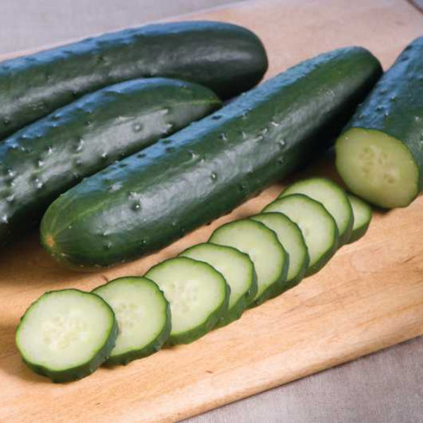 Simar Cucumber  Seeds
