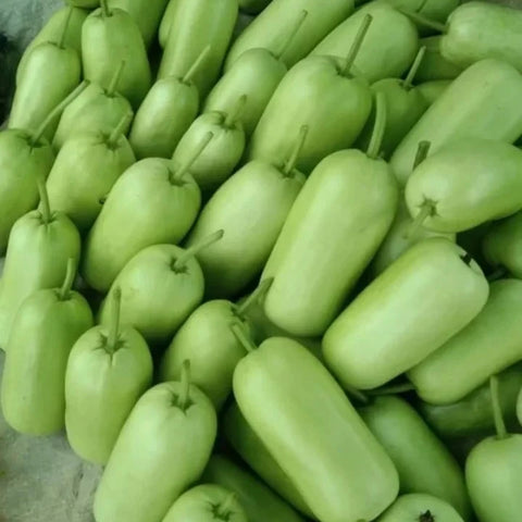 Round Churaka Seeds | Bottle Gourd Seeds