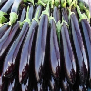 Black Long Vazhuthana Brinjal Seed | Egg Plant