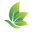 logo of Minis Lifestyle Hub | Vegetable, Fruits and Flower Seeds Online
– Mini's Lifestyle Store
