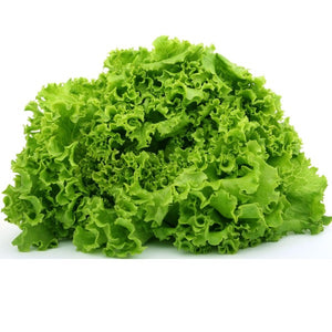 Lettuce Vegetable Seeds