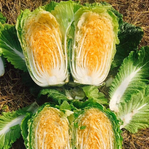 Orange Cauliflower Seeds | Orange Quinoa