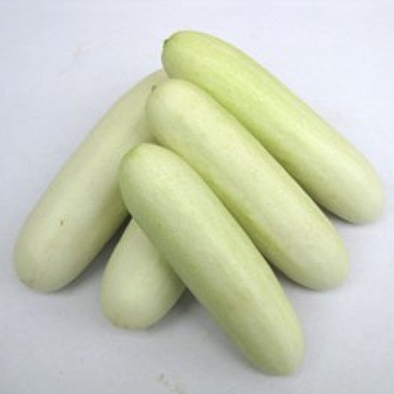 Snow White Salad Cucumber Seeds