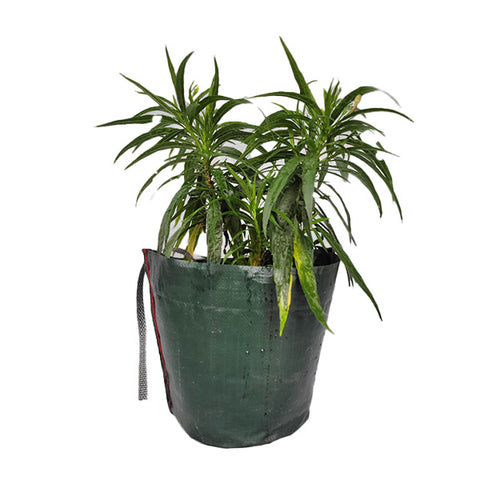 Pot Shaped Plant Pouches 220 GSM ( Pack of 12 ) : Crater Supple bags