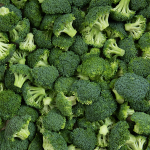 Broccoli Green - Organic Vegetable Seeds - Mini's Lifestyle Store- Buy Seeds in India