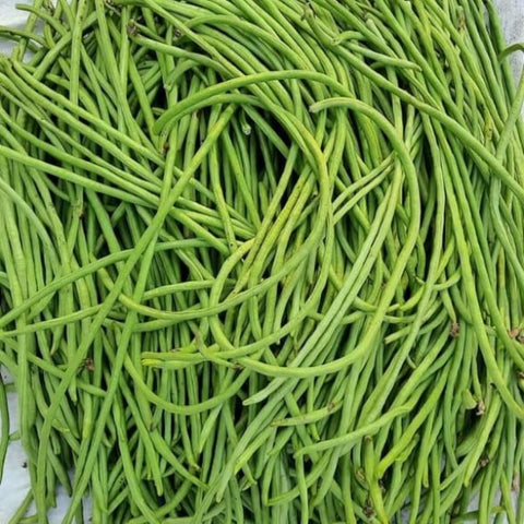 Green long Payar Seeds ( Deepika ) - Mini's Lifestyle Store- Buy Seeds in India