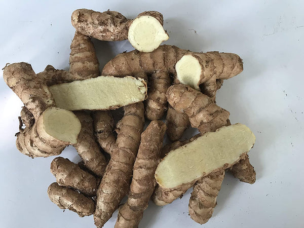 Kasturi Manjal Vithu | Rare Curcuma AROMATICA Wild Turmeric Rhizomes ( 400 g ) - Mini's Lifestyle Store- Buy Seeds in India