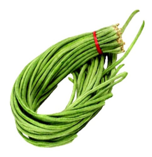 1.5 metre long Payar Seeds | Green Long Beans - Mini's Lifestyle Store- Buy Seeds in India