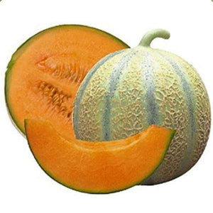 Muskmelon Seeds - Mini's Lifestyle Store- Buy Seeds in India