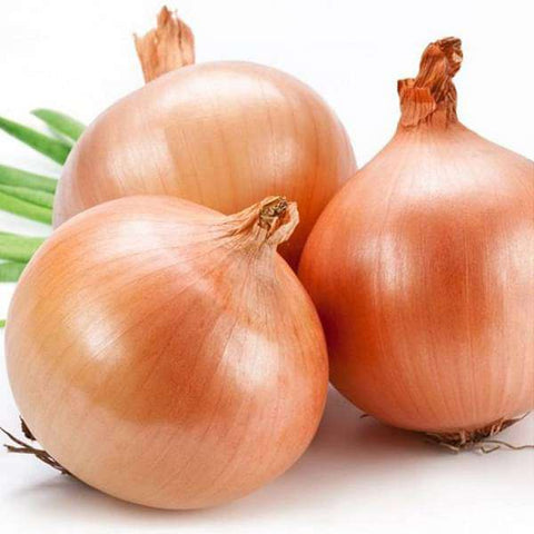 Onion Seeds | Ulli Vegetable Seeds - Mini's Lifestyle Store- Buy Seeds in India