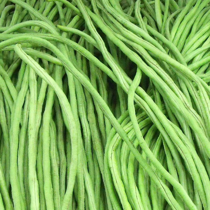 Valli Payar (Rocket) | Green Long Payar Seeds - Mini's Lifestyle Store- Buy Seeds in India