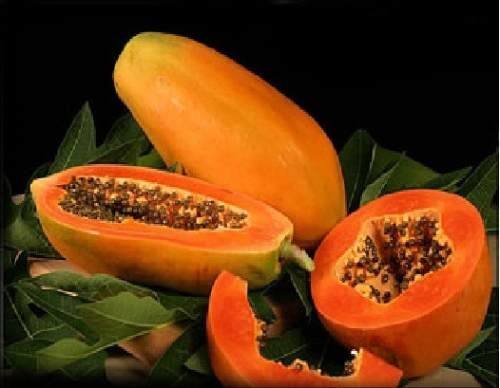 Red Lady Papaya Seeds - Mini's Lifestyle Store- Buy Seeds in India