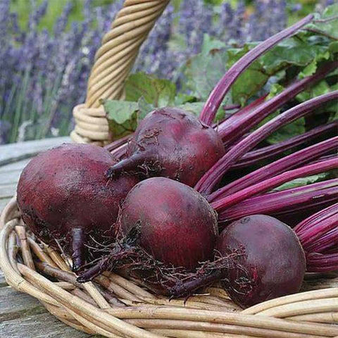 Beetroot Seeds - Mini's Lifestyle Store- Buy Seeds in India