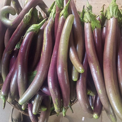 Vengeri Kula Vazhuthana Brinjal Seed | Egg Plant - Mini's Lifestyle Store- Buy Seeds in India