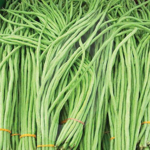 1.5 metre long Payar Seeds (Sumanth ) | Green Long Beans - Mini's Lifestyle Store- Buy Seeds in India