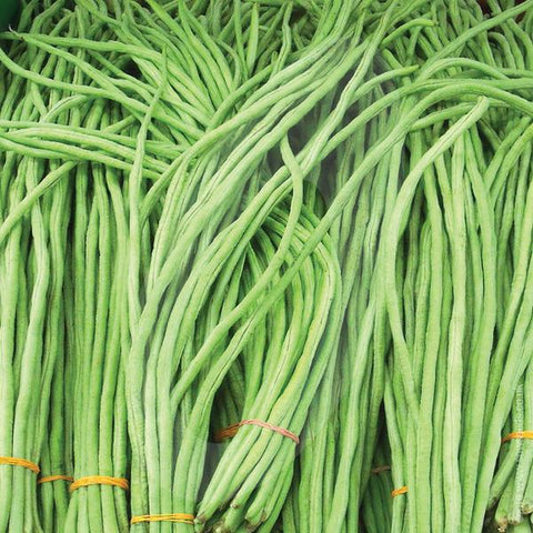 Payar In English Payar varieties – Mini's Lifestyle Store